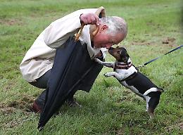 Buckingham Palace in lutto: chi era Beth, il cane della Regina Camilla