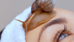 Bava di lumaca? Ecco il segreto per una pelle perfetta