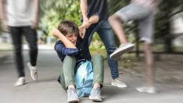 Aggressione nel parco di Correggio: quattro minori denunciati per violenza e furto