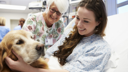 Cani e gatti al fianco dei pazienti oncologici