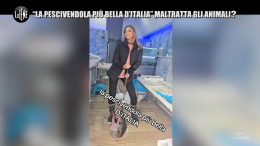 Le Iene colpiscono ancora: la pescivendola più bella d’Italia bannata su TikTok