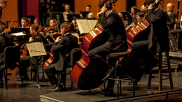 Bollicine 2024: appuntamento con l'Orchestra Senzaspine al Teatro Duse il 26 e 27 dicembre
