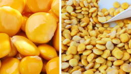 Lupini: il segreto salutare delle feste
