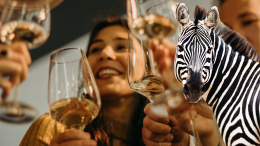 "Zebra striping": il segreto della Gen Z per divertirsi senza eccessi