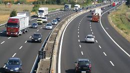  8.000 nuovi alberi e arbusti a Rimini: la rivoluzione verde che cambia il volto della città
