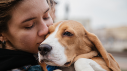 Bonus animali domestici 2025: ecco come ottenerlo