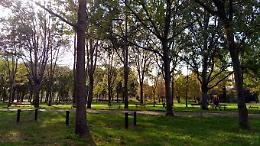 Parco Don Bosco: la raccolta fondi per le spese legali supera 11mila euro