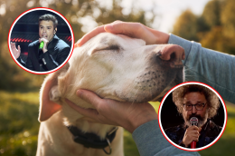 Depressione e Alzheimer sul palco di Sanremo: l'importanza terapeutica dei cani nelle malattie mentali