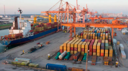 Sequestrate al porto di Ravenna 21 tonnellate di tabacco dirette in Sudafrica