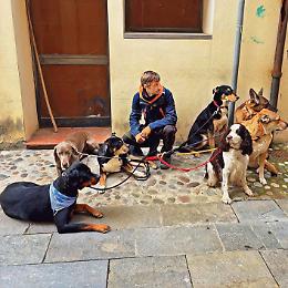 Dalla paura alla passione: Adrian trasforma l'amore per i cani in professione a Faenza