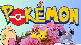 Acchiappali Tutti! Pokémon Day 2025 ritorna con tante novità