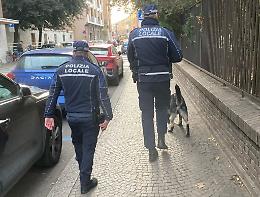 Abusivo e spacciatore, arrestato, processato e rilasciato