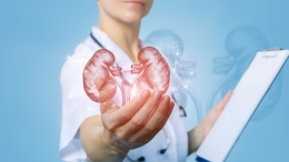 Screening gratuiti per la Giornata Mondiale del Rene all'Ospedale Santa Maria delle Croci di Ravenna