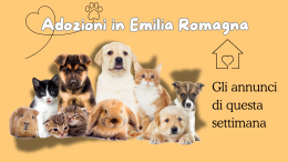 In cerca di famiglia: gli annunci di questa settimana