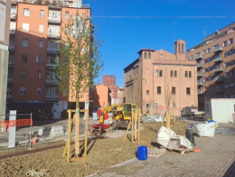 Avanzano i lavori del tram a Bologna: piantati anche 433 nuovi alberi