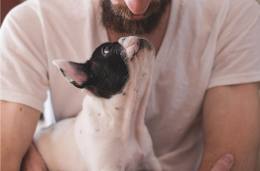 Impegni annullati per stare insieme a loro: quanto siamo disposti a rinunciare per il nostro cane o gatto?