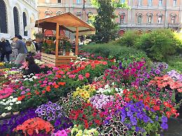 I colori della Primavera esplodono in piazza Minghetti 
