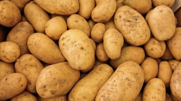 Le patate: un alleato nutriente per la salute quotidiana, se cucinate nel modo giusto