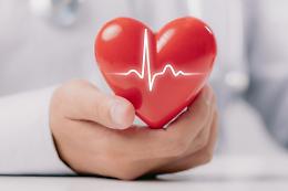 Malattie Cardiovascolari: la prima causa di morte in Italia