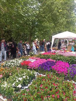 "Giardini&Terrazzi": a Bologna la 31ª edizione della manifestazione del verde e design outdoor