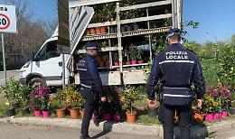 Sequestrate piante a venditore abusivo e donate all'Istituto Agrario Serpieri
