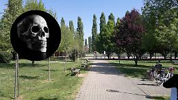 Un ritrovamento degno di un thriller: dei bambini scoprono un teschio umano al parco "Il Naturone" di Cadè