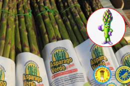 Ritorna la Sagra dell'Asparago Verde di Altedo: una celebrazione delle eccellenze agroalimentari dell'Emilia-Romagna