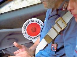 Bologna, centro della cultura e della tolleranza? Forse non più