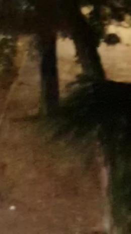 Bologna, ancora una rissa fra giovanissimi IL VIDEO