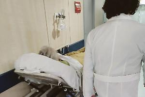 Sovraffollamento al Pronto Soccorso del Sant'Orsola: "20-30 pazienti in attesa posizionati sulle barelle"