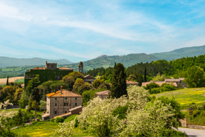 Yourhomeinitaly: la soluzione innovativa per rivitalizzare il mercato immobiliare di lusso in Italia