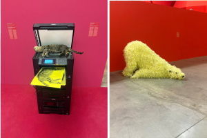 "Facile ironia": un viaggio tra sberleffi e provocazioni al MAMbo di Bologna