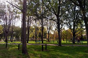 Parco Don Bosco: la raccolta fondi per le spese legali supera 11mila euro