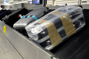 Scoperte strambe all'aeroporto di Zurigo: uomo fermato con la testa di coccodrillo in valigia