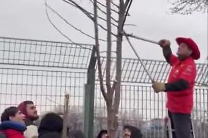 Tifoso Ferrari taglia un albero per vedere i test di Hamilton e Leclerc: multa in arrivo