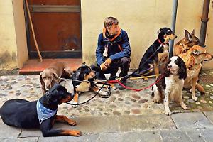 Dalla paura alla passione: Adrian trasforma l'amore per i cani in professione a Faenza