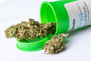 Cannabis medica: la ricerca Unimore che prova a cambiare le regole del gioco