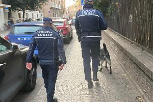 Abusivo e spacciatore, arrestato, processato e rilasciato