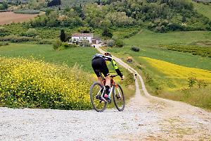 Da Bologna a Riccione: torna il Bike Trail 2025 con quattro percorsi unici