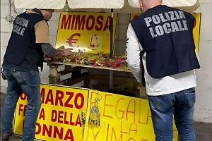 Sequestro di fiori e mimose a Bologna: multe salate per i venditori abusivi
