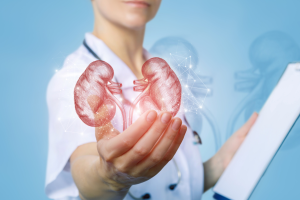 Screening gratuiti per la Giornata Mondiale del Rene all'Ospedale Santa Maria delle Croci di Ravenna