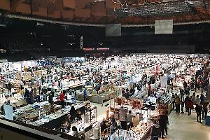 Bologna Mineral Show: un viaggio tra minerali, tesori fossili e... dinosauri