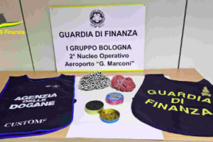 Sequestri all'aeroporto Marconi: coralli, fiori rari e caviale nel mirino delle autorità
