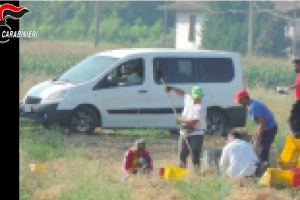 Sfruttamento nei campi della bassa piacentina: arrestati due cittadini stranieri