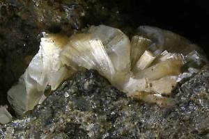 Scoperto il meccanismo d'azione dell'erionite