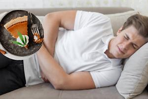 Erasmus a Bologna: 9 studenti spagnoli scoprono che la pasticceria non è il loro forte