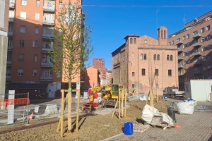 Avanzano i lavori del tram a Bologna: piantati anche 433 nuovi alberi