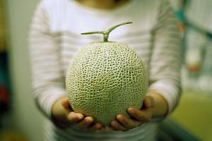 Il frutto più costoso del mondo, dalla tradizione giapponese alla Valle di Casalmaggiore