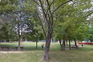 Italiano, sì, ma di origine maghrebine, ma la Questura sceglie la privacy