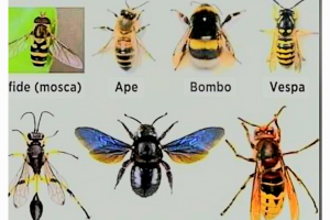 Primavera all’aria aperta: libertà, ma con attenzione